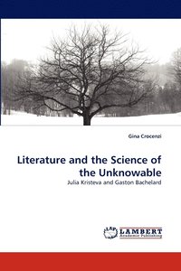 bokomslag Literature and the Science of the Unknowable