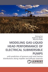 bokomslag Modeling Gas-Liquid Head Performance of Electrical Submersible Pumps