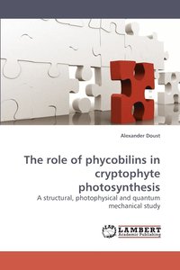 bokomslag The Role of Phycobilins in Cryptophyte Photosynthesis