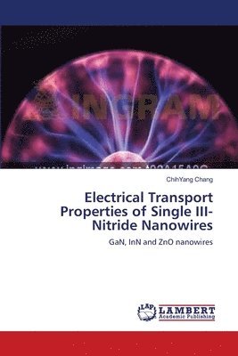 Electrical Transport Properties of Single III-Nitride Nanowires 1