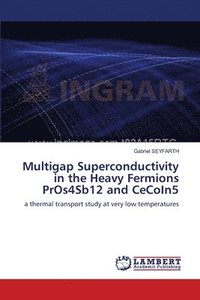 bokomslag Multigap Superconductivity in the Heavy Fermions PrOs4Sb12 and CeCoIn5