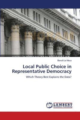Local Public Choice in Representative Democracy 1