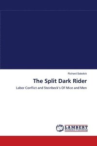 bokomslag The Split Dark Rider