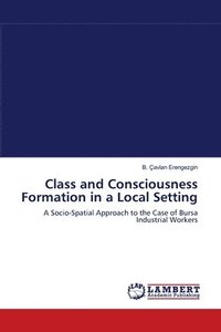 bokomslag Class and Consciousness Formation in a Local Setting