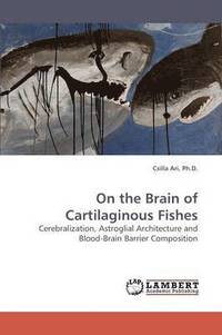bokomslag On the Brain of Cartilaginous Fishes