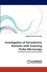 bokomslag Investigation of Ferroelectric Domains with Scanning Probe Microscopy