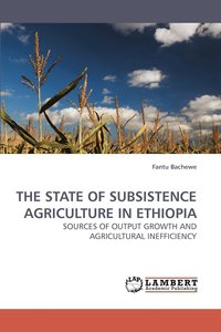 bokomslag The State of Subsistence Agriculture in Ethiopia