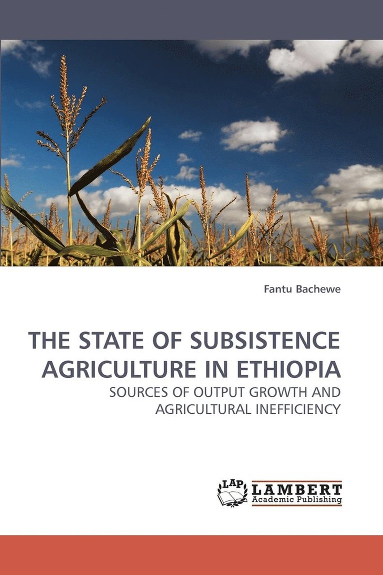 The State of Subsistence Agriculture in Ethiopia 1