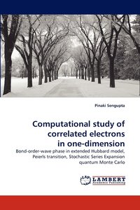 bokomslag Computational study of correlated electrons in one-dimension