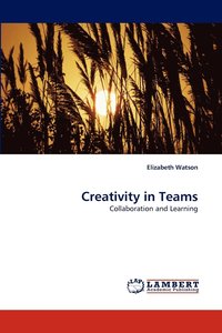 bokomslag Creativity in Teams
