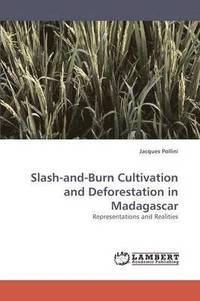 bokomslag Slash-and-Burn Cultivation and Deforestation in Madagascar