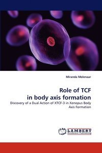 bokomslag Role of Tcf in Body Axis Formation