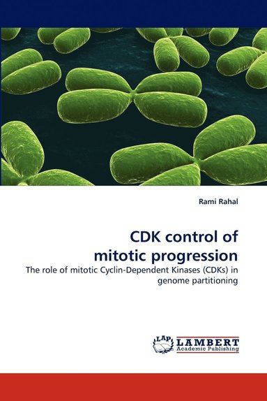 bokomslag Cdk Control of Mitotic Progression