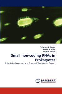 bokomslag Small Non-Coding Rnas in Prokaryotes