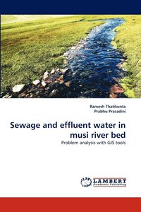 bokomslag Sewage and Effluent Water in Musi River Bed