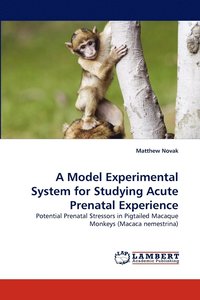 bokomslag A Model Experimental System for Studying Acute Prenatal Experience