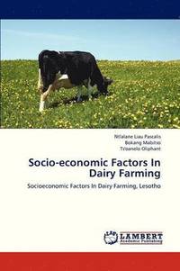 bokomslag Socio-Economic Factors in Dairy Farming