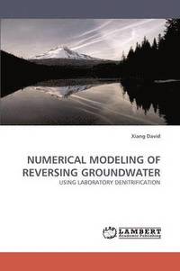 bokomslag Numerical Modeling of Reversing Groundwater