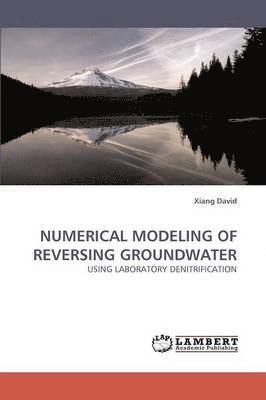 Numerical Modeling of Reversing Groundwater 1