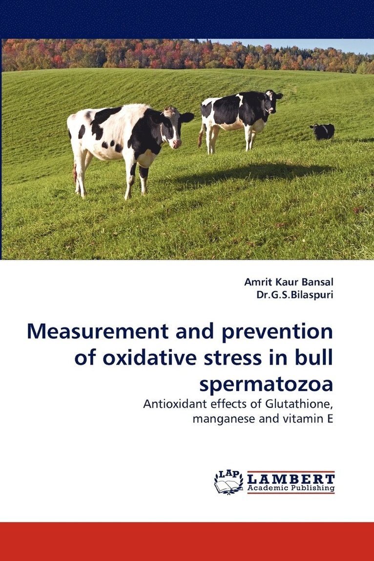 Measurement and Prevention of Oxidative Stress in Bull Spermatozoa 1