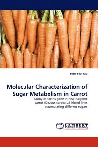 bokomslag Molecular Characterization of Sugar Metabolism in Carrot