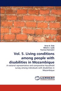 bokomslag Vol. 5. Living conditions among people with disabilities in Mozambique