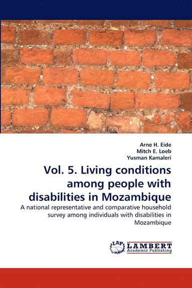 bokomslag Vol. 5. Living conditions among people with disabilities in Mozambique