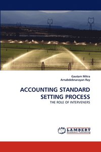 bokomslag Accounting Standard Setting Process