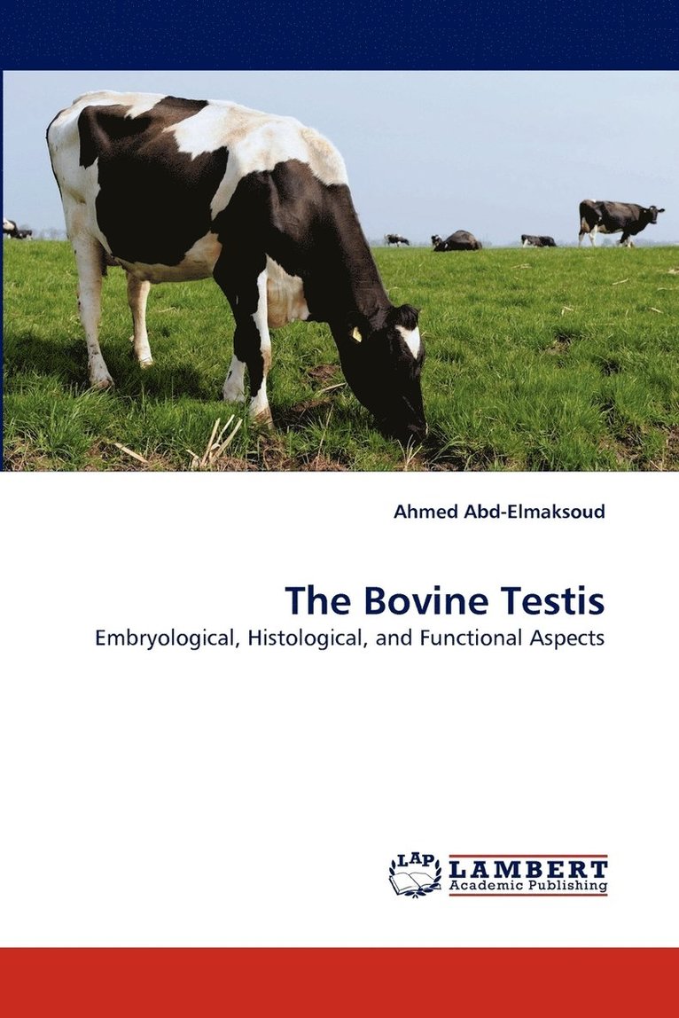 The Bovine Testis 1
