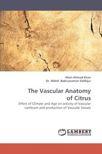 bokomslag The Vascular Anatomy of Citrus