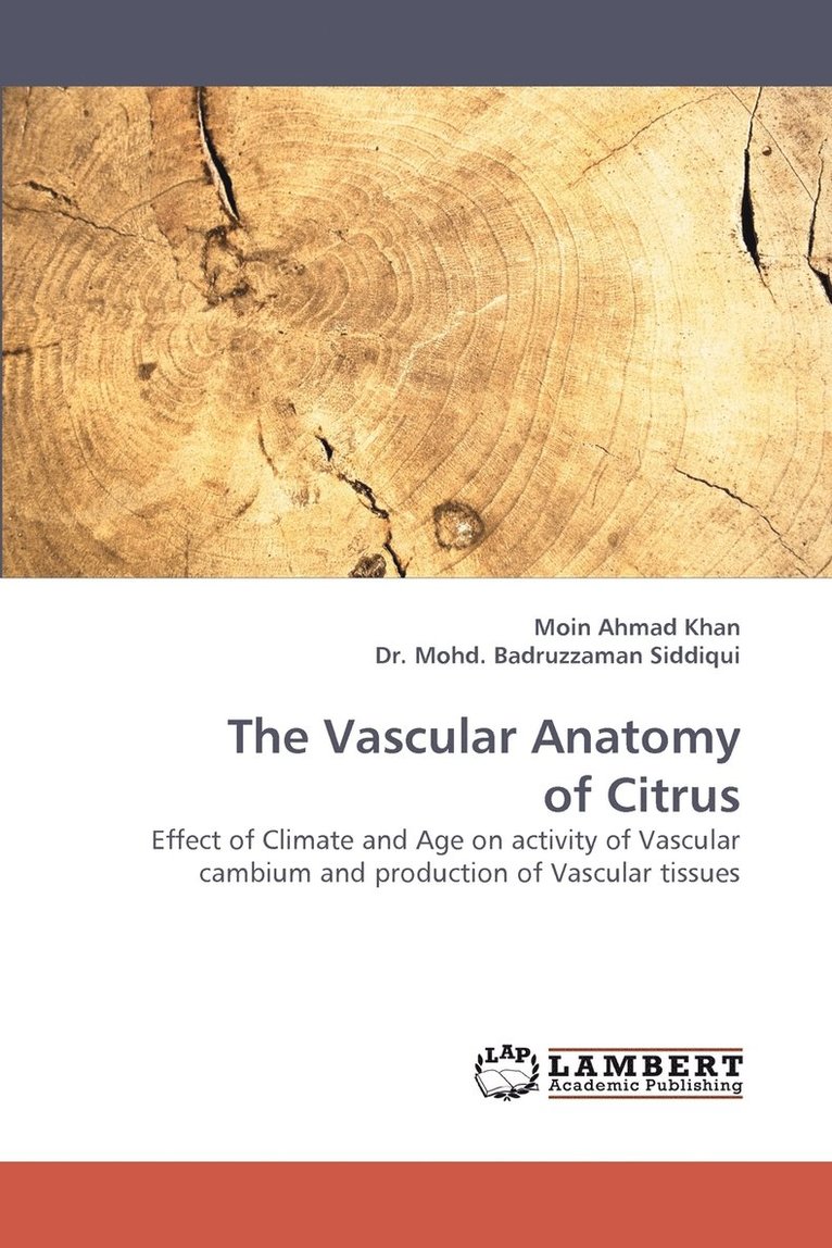 The Vascular Anatomy of Citrus 1