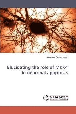 Elucidating the role of MKK4 in neuronal apoptosis 1
