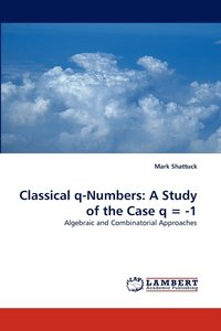 bokomslag Classical q-Numbers