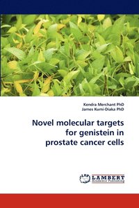 bokomslag Novel molecular targets for genistein in prostate cancer cells
