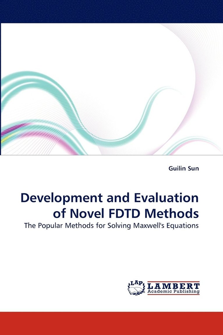 Development and Evaluation of Novel FDTD Methods 1