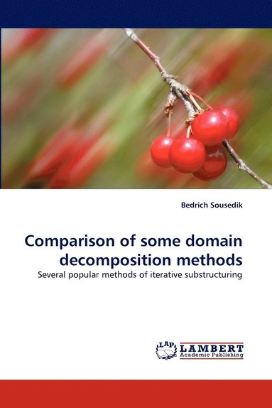 bokomslag Comparison of Some Domain Decomposition Methods