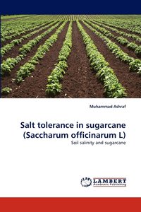 bokomslag Salt Tolerance in Sugarcane (Saccharum Officinarum L)