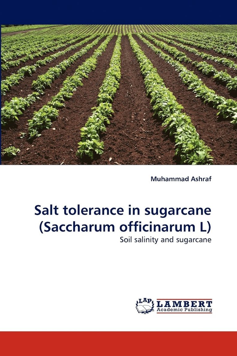 Salt Tolerance in Sugarcane (Saccharum Officinarum L) 1