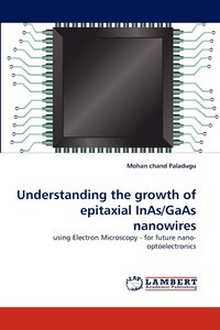 bokomslag Understanding the Growth of Epitaxial Inas/GAAS Nanowires