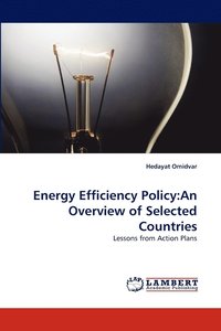 bokomslag Energy Efficiency Policy