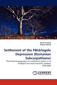 bokomslag Settlement of the P Tarlagele Depression (Romanian Subcarpathians)