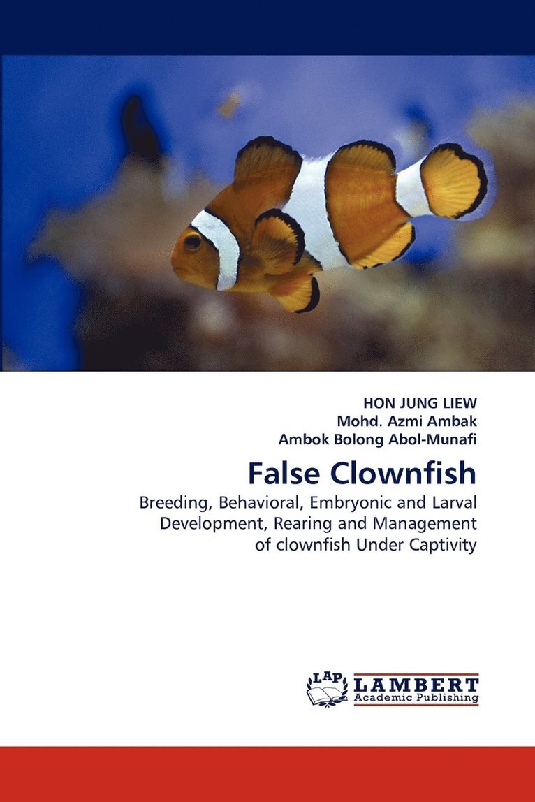 False Clownfish 1