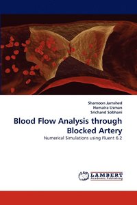 bokomslag Blood Flow Analysis through Blocked Artery