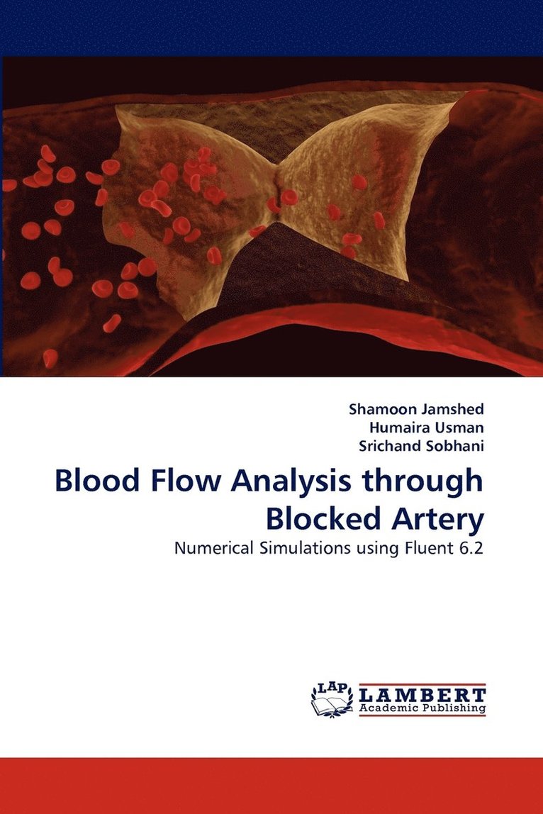 Blood Flow Analysis through Blocked Artery 1