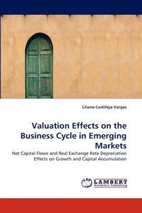 bokomslag Valuation Effects on the Business Cycle in Emerging Markets