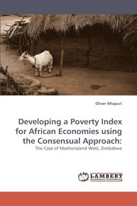 bokomslag Developing a Poverty Index for African Economies Using the Consensual Approach