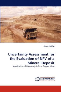 bokomslag Uncertainty Assessment for the Evaluation of NPV of a Mineral Deposit