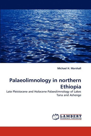 bokomslag Palaeolimnology in northern Ethiopia