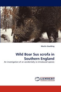 bokomslag Wild Boar Sus scrofa in Southern England