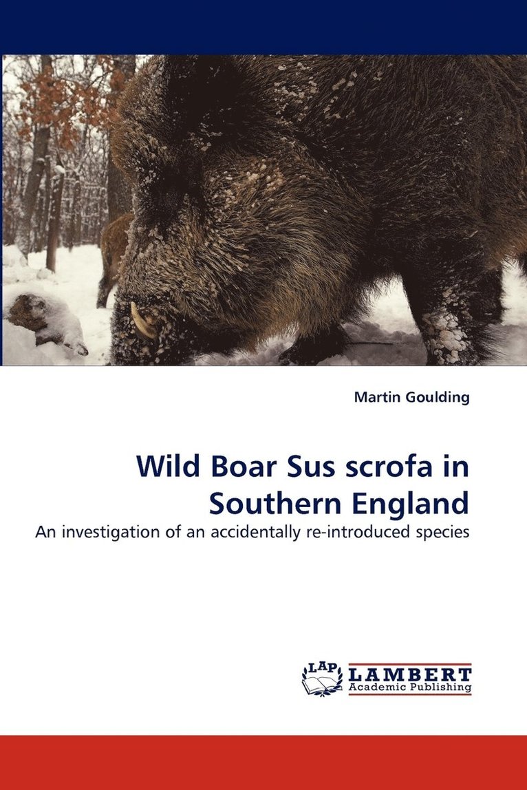 Wild Boar Sus scrofa in Southern England 1